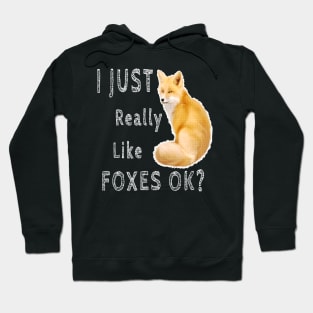 i just really like foxes Hoodie